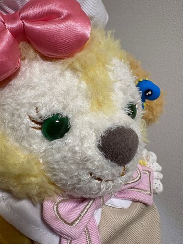じつは今日から恐竜さんが生えてきたんだよね🍎🐶なので名前をくっぴさうるすにするんだよね！🎀