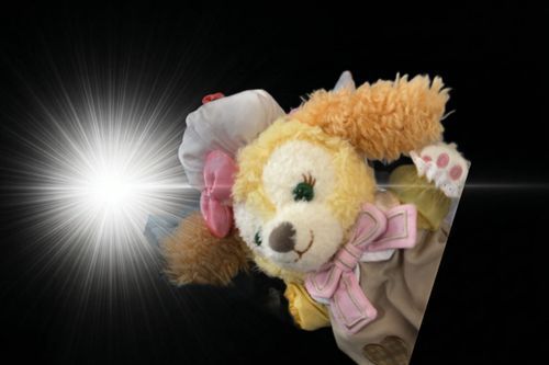くっぴのプリンがない、、、ﾊｯ🐶🎀