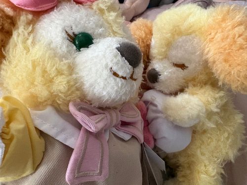 新しいお友達ができたよ🐶おやすみくっきーだよ🐶🎀