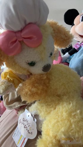 おうちにきたとき、よくきたねぇーとがぶりとしてしまったよ🌸今週末はお出かけできるかなあ