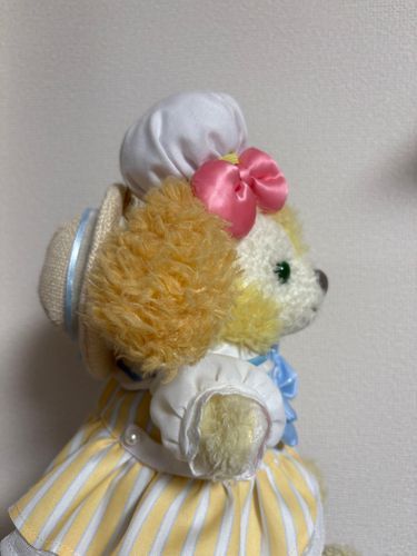 夏用のお洋服、かってくれたよ☀️🐶🎀お帽子は被れないけどかわいいよ