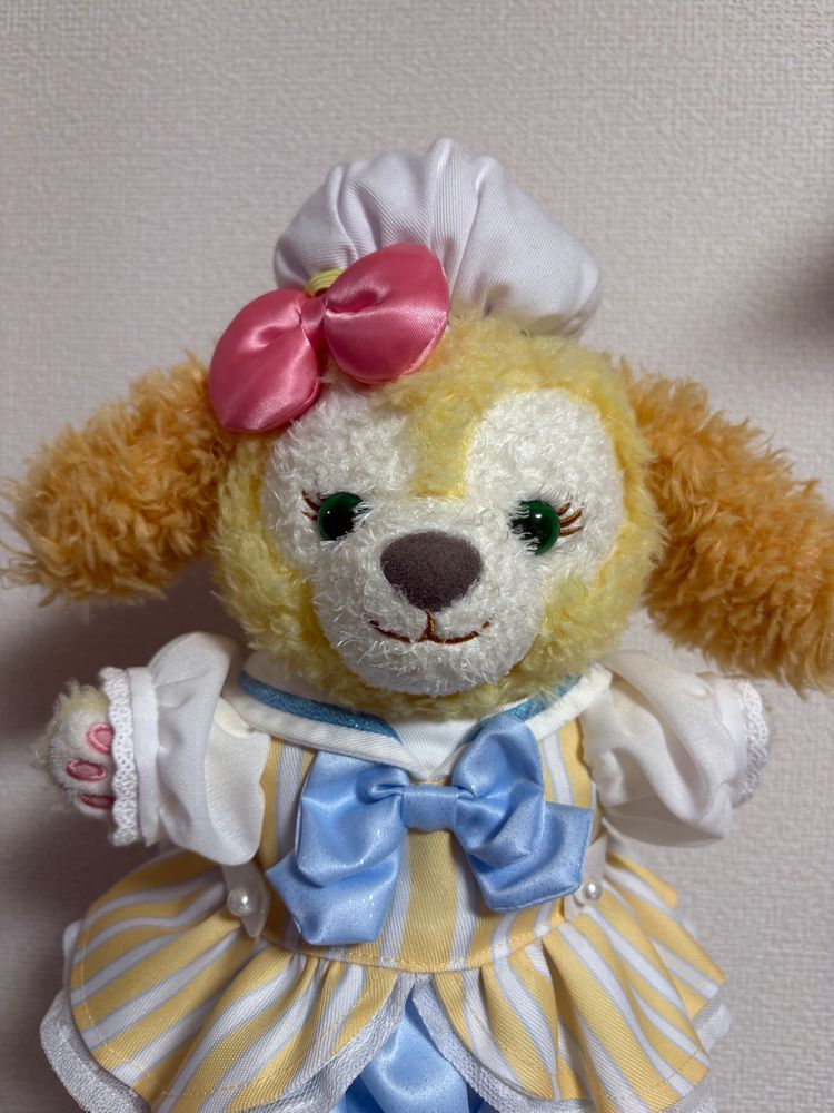 夏用のお洋服、かってくれたよ☀️🐶🎀お帽子は被れないけどかわいいよ