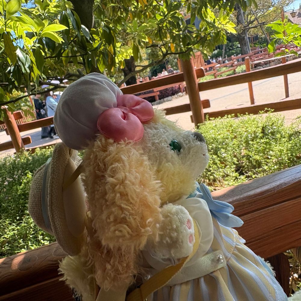 ディズニーランド、とってもお菓子でたくさん🍭🍬🍫パレードの歌詞にくっきくっきくっき🎶と言ってる部分発見して、大興奮🌸🐶