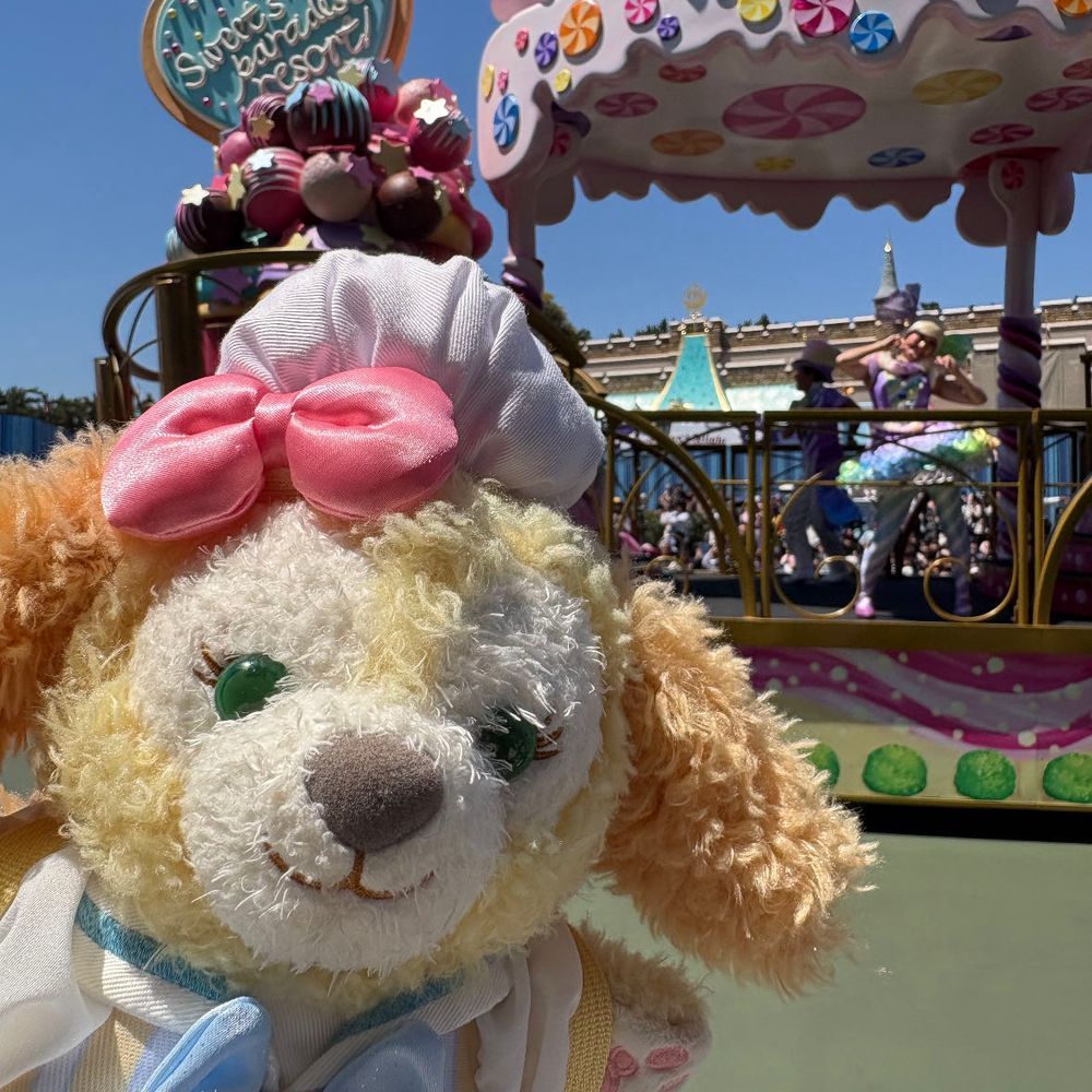 ディズニーランド、とってもお菓子でたくさん🍭🍬🍫パレードの歌詞にくっきくっきくっき🎶と言ってる部分発見して、大興奮🌸🐶