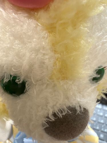 今日はおうちの人のお仕事のじゃまをするのだ！🐶🎀あそんでもらうまで、じゃましちゃうのだ！