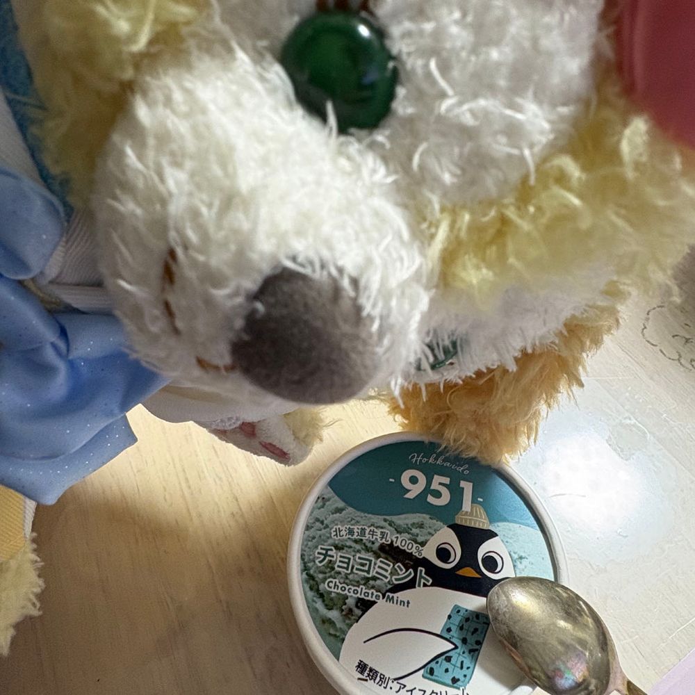 こんぺいとう！🌸みんとあいす🐶🍀初めて食べたけどすーすーでおいしいね