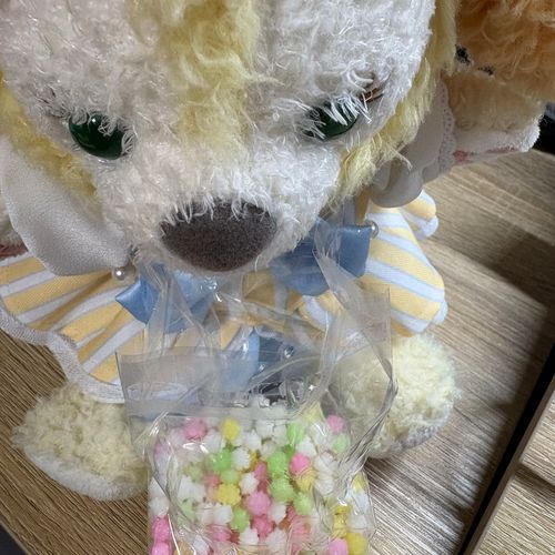 こんぺいとう！🌸みんとあいす🐶🍀初めて食べたけどすーすーでおいしいね