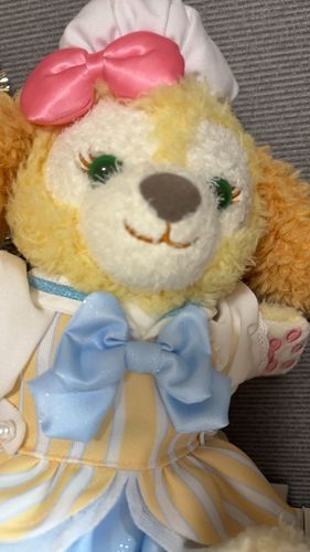 おうちのひとは、やきにくへ🐶くっきは食べたことも見た事もないよ とてもきになるよ