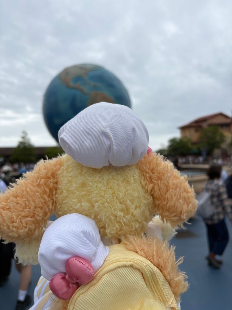 こないだいったディズニーの🌸🐶写真だよ お花が綺麗なここはどこで、しょう🎀