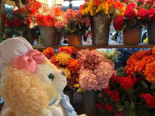 こないだいったディズニーの🌸🐶写真だよ お花が綺麗なここはどこで、しょう🎀
