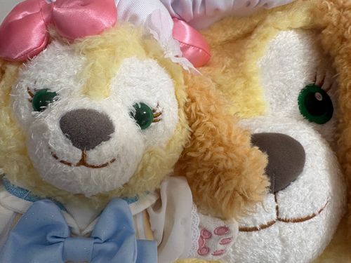 今日は実はお誕生日🎂🍰🐶🍪🎀ケーキ買ってもらえるかなあ
