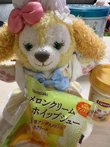 お誕生日おいわい、してもらったよ🐶🎀とてもおいちかった、よ