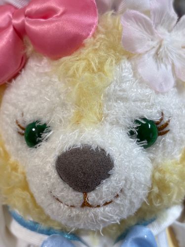 ぬっ、あたらしいお花が欲しいなあとおもうよ🌸