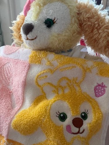 もう少しで旅行✈️🚗³₃
それまではおうちでごろんとするよ🐶
くきぼーのハンカチお布団もらったんだ