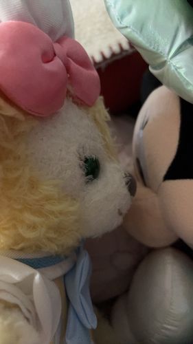 今日の夜、飛行機とんでくれるかな🥹🐶とみにちゃあんに聞いてみてるよ。そわそわしちゃうよ