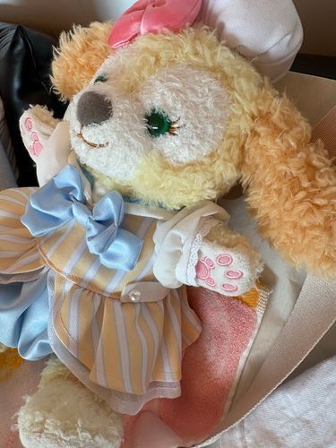 ぬっ 飛べそうかな✈️少し怖いけど、お出かけできそうでおうちの人も安心してたね🐶🎀このあわあわ、なんだろう