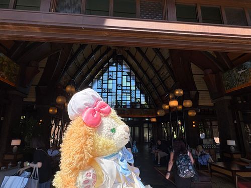 あろは🌺🌴