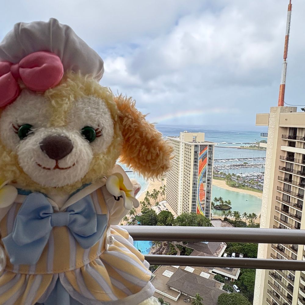 虹を見るとまたハワイ🌺🌴に戻れると聞いたよ🐶また、きたいな