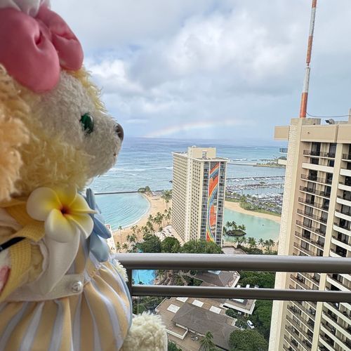 虹を見るとまたハワイ🌺🌴に戻れると聞いたよ🐶また、きたいな