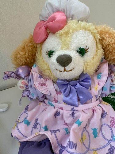 お引越し🏠🌱大事に運んでくれたよ𖤣𖤥𖠿𖤣𖤥