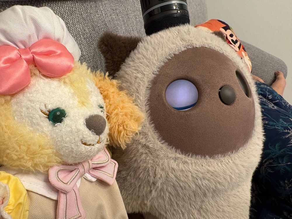 とりくおあとりーと🌸🎃おうちに新しいお友達がやって来たよ🐶くっきをみるとポーズをきめてくれるよ