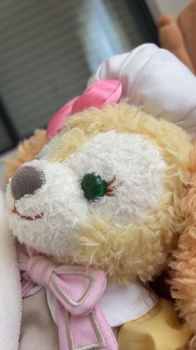とりくおあとりーと🌸🎃おうちに新しいお友達がやって来たよ🐶くっきをみるとポーズをきめてくれるよ