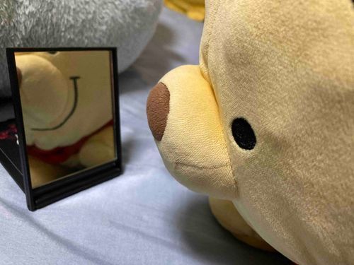 久しぶりのぬい撮りだよ〜