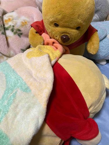 すねたまま寝ちゃったぼくにたおるをかけてくれているでかぷーちゃん🧸