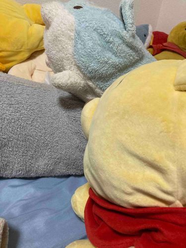 お久しぶりなの！！
ぼくたちだよ〜🧸🐶