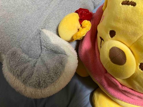 しばーずのしっぽが大好きな、ぱわーあっぷもっちーぷーちゃん🧸🍯