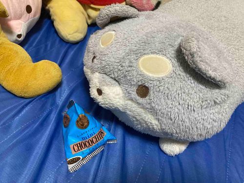 さいきんおいしいものがたべたいすみだよ〜！
そらちゃんのほうがおおぐいだったのに、さいきんはすみもおおぐいなの！！
ふたごだから、にてきちゃったのかな〜？？
あるじ、おいしいごはんとすいーつがほしいよ〜🐶✒️