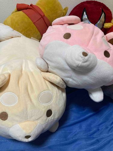 そらちゃんとすみちゃんがたべもののことであらそっているけれど、
ももとからしは、くいいじをはってないの〜🐶🍑🐶🌭
みんななかよしでおいしいものたべたらいいのに〜なの〜🐶🍑🐶🌭