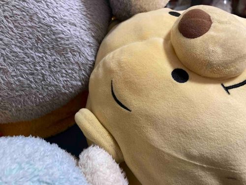 しばーずに埋もれちゃった！