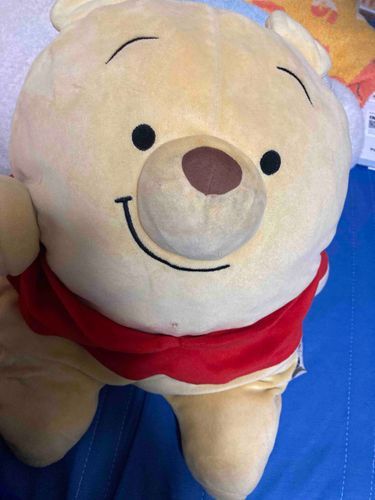 主と遊んでいるぼく🧸🍯