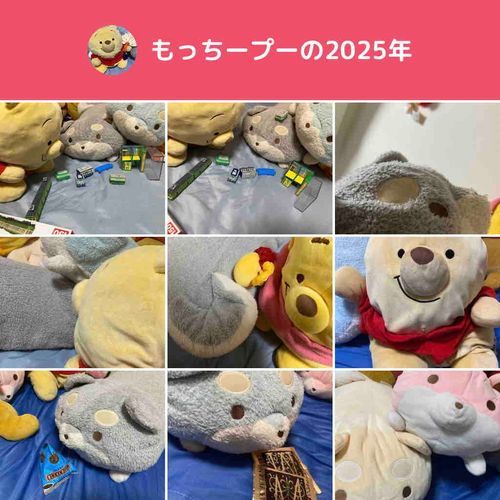 去年の投稿たちなの〜！
今年もよろしくだよ✨
