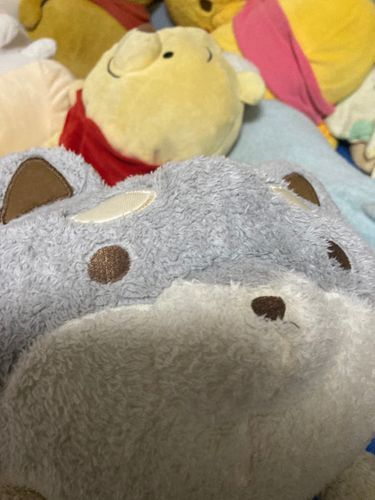 しゃかいじんなあるじがね、まいあさおしごといきたくない〜ってぐちるの〜！
ぬいのみんなでなぐさめるのがたいへんなの！
もうなんねんもしゃかいじんしてるんだから、なれてほしいよ〜🐶✒️
