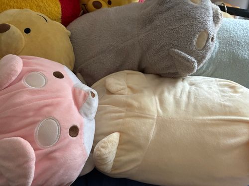 おひさしぶりのからしばだよ〜🌭🐶
しばーずじゅうたいちゅうなの！
からしがねていたら〜ももちゃんがやってきたよ🍑🐶