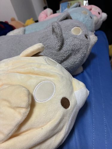 そらちゃんとももちゃんがせいれつしているのをみて、すみちゃんとからしもびんじょうしてみたよ〜！