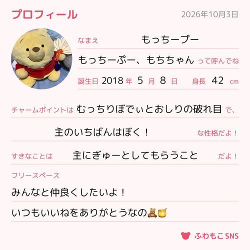 もっちーぷーのぷろふぃーるなの〜！
皆、これからもよろしく！なの！！
もっちーぷー以外のぬいも投稿するよ！よろしくね✨️
