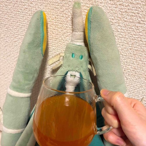 おひさしぶりです めろんです
みかんのこうちゃを のんでます
あたたかくて おいしいです
じかせい らしいです