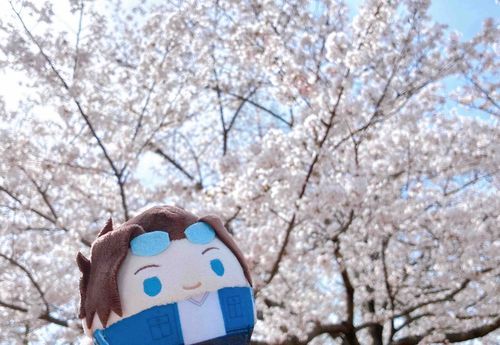 お誕生日おめでとう〜！🌸