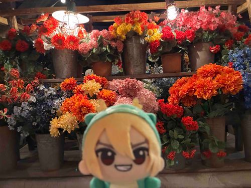 だっふぃーにあうぞ！そのまえのはなだ