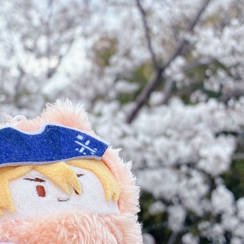 写真が下手なかいぬし