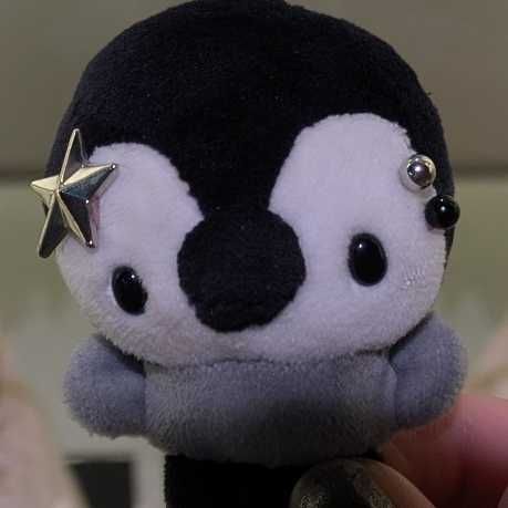 おいら、ペソだソ🐧