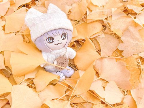 イチョウなみきをさんさくしてきたよ