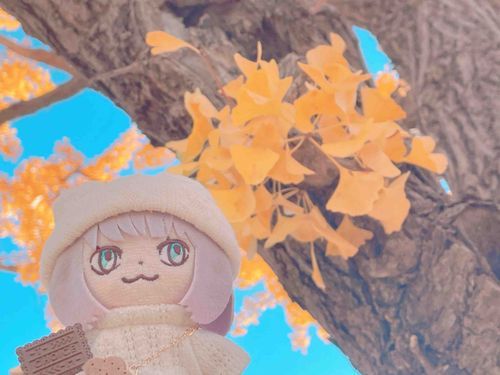 いいお天気だったんだ