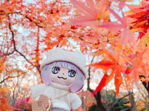 もみじがにあうだろう？秋の森のようせい王だからね