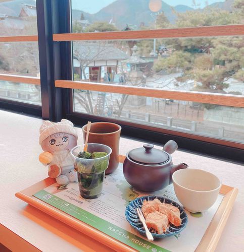 はじめて食べたまっちゃわらびもち。やわらかくておいしいね
