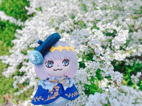 ユキヤナギがいっぱいでキレイだったよ