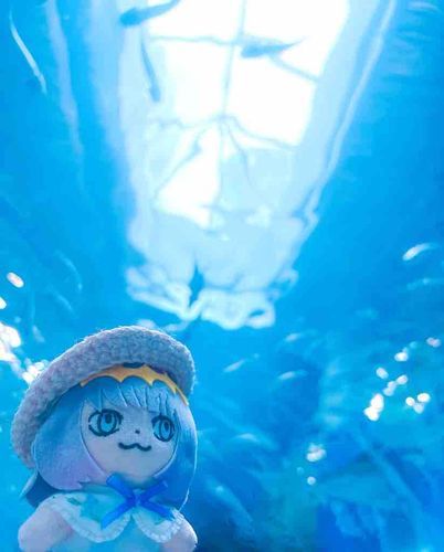 うみのなかにいるみたいだ